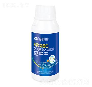 �����~����-ِ�Ƹ��R