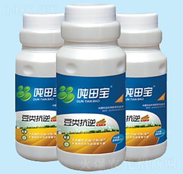 ���(l��i)�������a(ch��n)��-���-�����S��