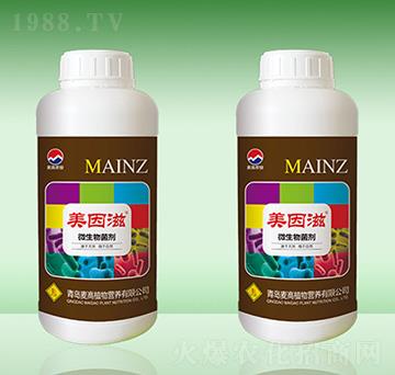 �����̡�΢�������-���u����