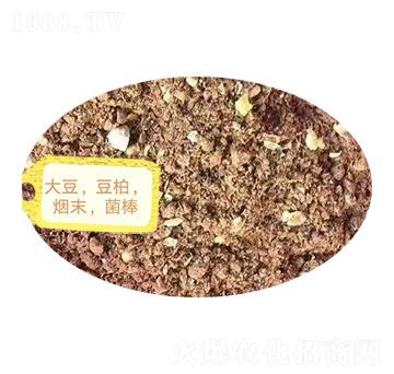 ������������ĩ��������-�Z�M�}