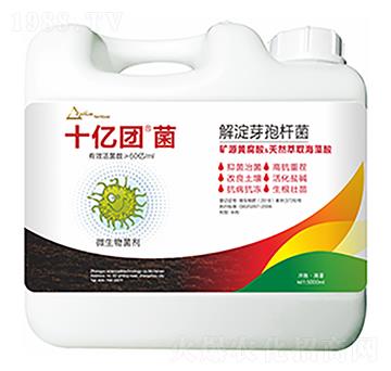 ���ѿ�ߗU��-ʮ�|�F��