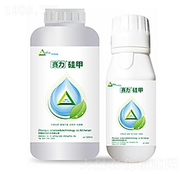 ِ�����-�����Ƽ�