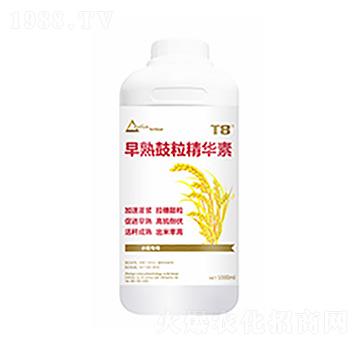 ����������A��-������