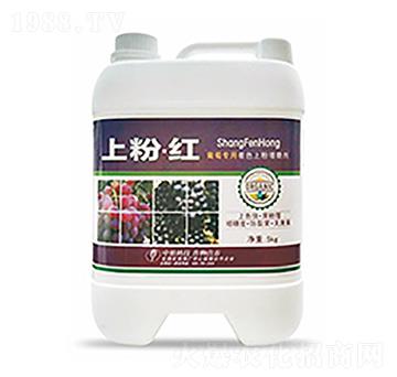 �Ϸۡ��t-�����Ƽ�