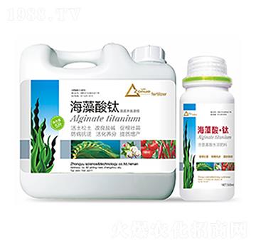 �������-�����Ƽ�