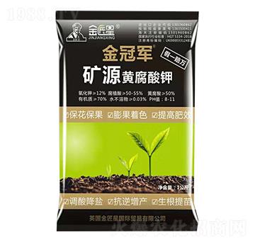 �VԴ�S�����-����