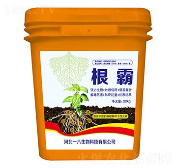 ����-һ������