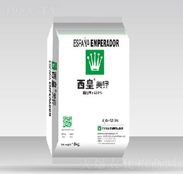 �������-����˹�D