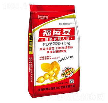 ����l(f��)�ʹ�-���\��-���{����