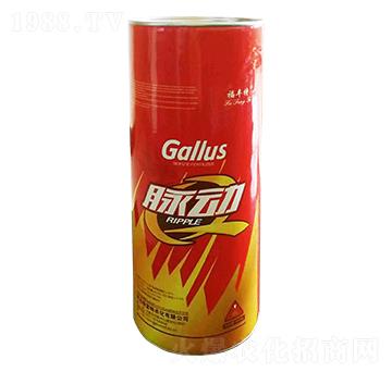 �VԴ�S�����-�}��-�������r��