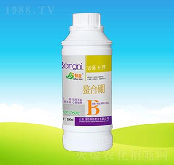 ������-�n��ʘI(y��)