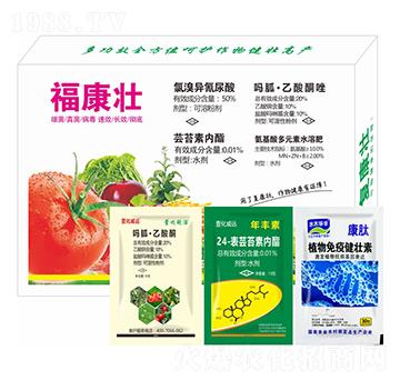 ������-�滯���h