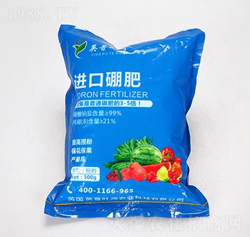 �M�����-Ӣ���~��