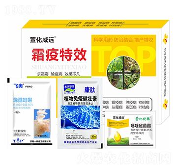 ˪�ߌ���-�滯���h