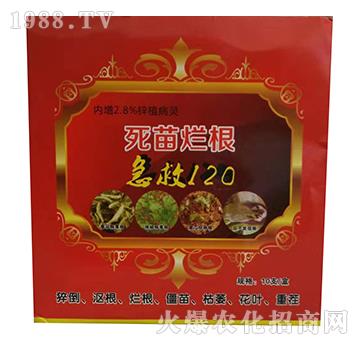 ���砀��-����120-�G�r���I(y��)
