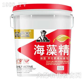 ���徫-����