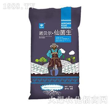 ΢�������-�Zؐ������