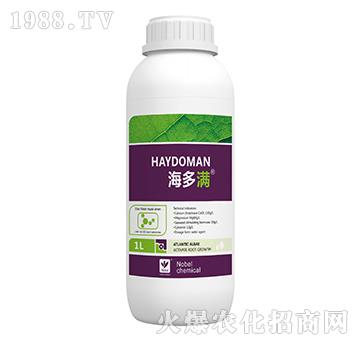 �}�V�̼���-�����M