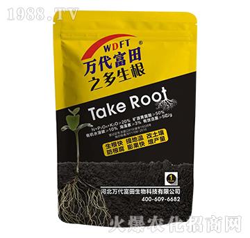 多根生-萬代富田