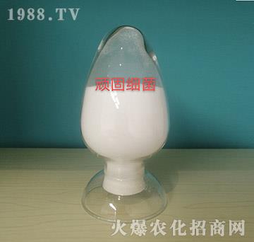 �B�̼�������ԭ��-���o��(c��)�r(n��ng)�I(y��)