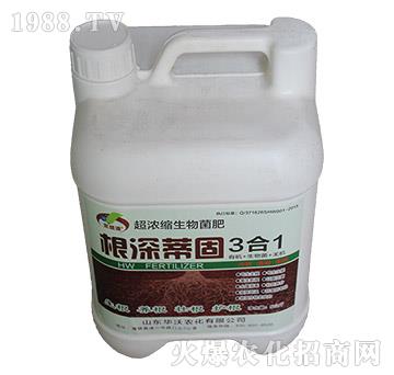 ����ٹ�3��1-�A���r��