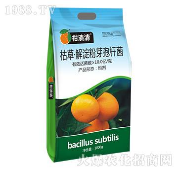 �ݲݡ������ѿ�ߗU��-�̝���-�T�_(d��)