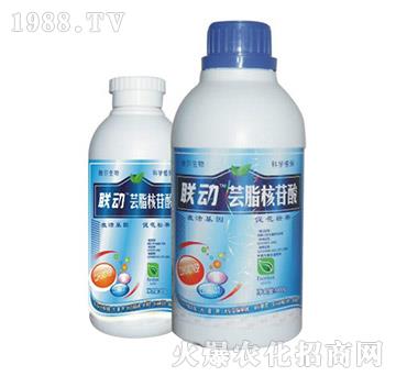 �|֬������-(li��n)��(d��ng)-� �����