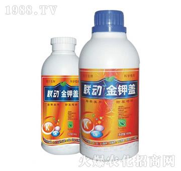 ����w-(li��n)��-� �����