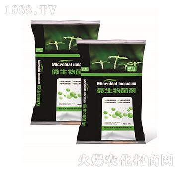 ΢�������-΢��-���S���