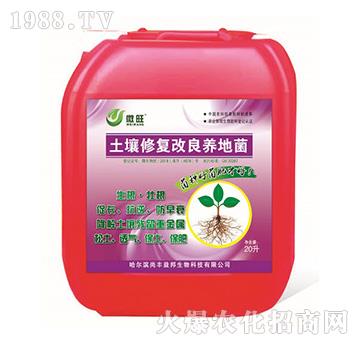 土壤修復(fù)改良養(yǎng)地菌-微旺-尚豐益邦