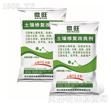 �����ޏ͸�����-΢��-���S���