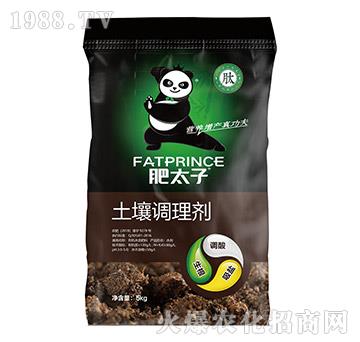 土壤調理劑-肥太子