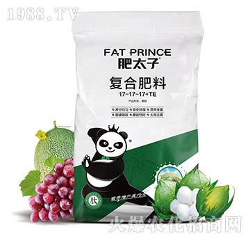 復合肥料17-17-17+TE-肥太子