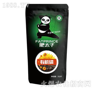 2kg�ЙC��-��̫��