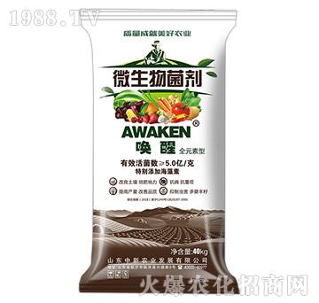 ΢�������-����-����