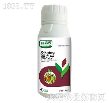 ���ˌ�-����g��-�������r