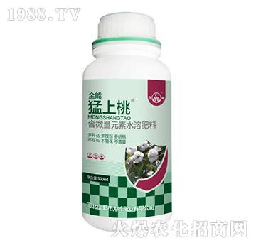 ������-���