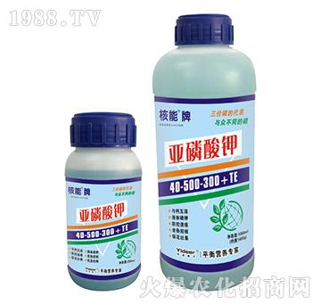 �����Ɓ������40-500-300+TE-� �����