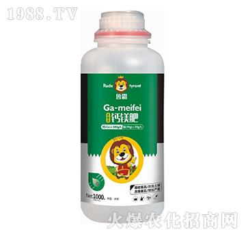 �}�V��-��������