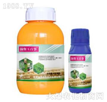 24%���ס�ݬȥ��-�˹�����-�˹����