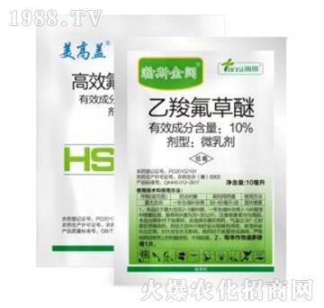 �˹���_���M��-�˹����