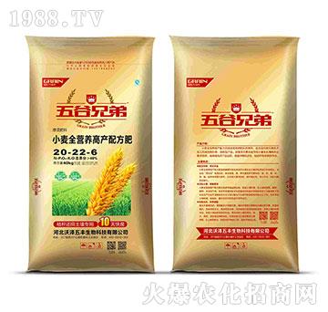 ȫ�I�B(y��ng)С��һ�η�-�֝����S