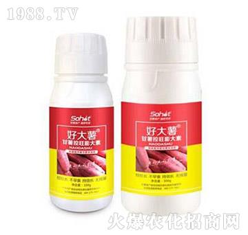 甘薯控旺膨大素-好大薯-升華永樂(lè)