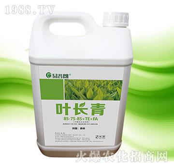 平衡旺長(zhǎng)液體肥-葉長(zhǎng)青-聯(lián)業(yè)農(nóng)業(yè)