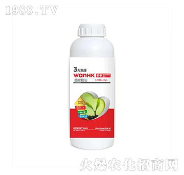 ֲ�ﾫ��-�똷��ƿ��-