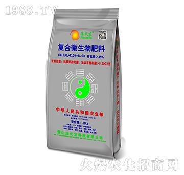 �ͺ�΢�������-��ʽ�l(f��)