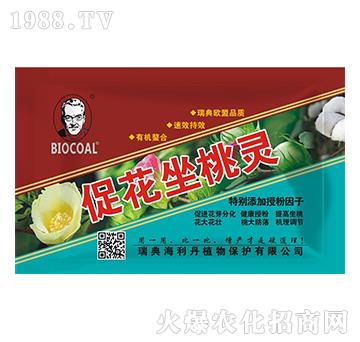 �ٻ������`-������