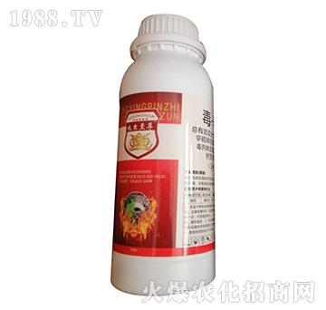 40%������-���x����-�W�ρ�