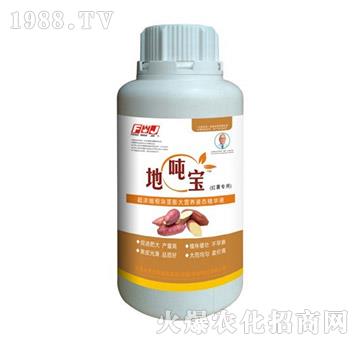 紅薯專用根塊莖膨大營養(yǎng)液態(tài)精華液-地噸寶-豐萬稼