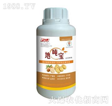土豆專用根塊莖膨大營養(yǎng)液態(tài)精華液-地噸寶-豐萬稼-豐萬稼